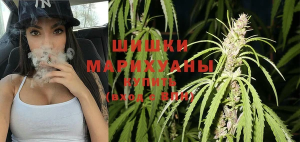 ПСИЛОЦИБИНОВЫЕ ГРИБЫ Няндома